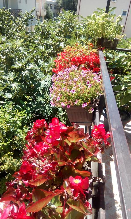 Filip Apartments אוהריד מראה חיצוני תמונה